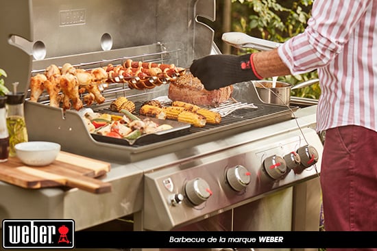 Barbecue Weber